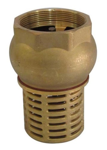 Bsp female check foot - 1",